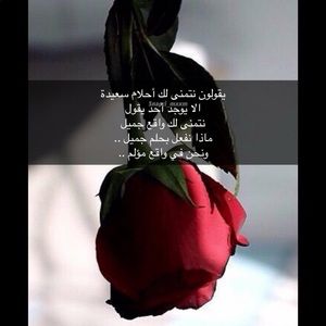 Meet your Posher, Rana